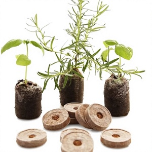 Vietnam Export Quality Coco Peat Plugs - 100% Peat-Free Biodegradable Coir Pellets for Greenhouse Agriculture - Product Image 1