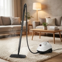 Nettoyeur vapeur haute température 1300W, stérilisation à 99 %, machine de nettoyage vapeur multifonctionnelle portable