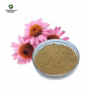 Extracto de Equinácea (<span class=keywords><strong>Echinacea</strong></span> <span class=keywords><strong>Angustifolia</strong></span>) 10:1, Polvo de Raíz Natural Concentrado para Uso en la Industria de Suplementos Dietéticos - Product Image 2