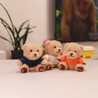 Ours en peluche porte-clés pendentif imprimé nom Logo 10cm mini jouets en peluche avec personnalisation personnelle