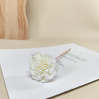 Bâtons de bambou pour la décoration de la maison en gros, fleurs séchées en PE, bâtons de diffuseur de parfum, fleurs séchées, décoration, bâtons de diffuseur