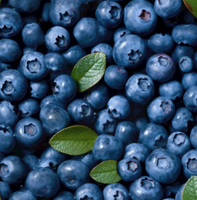 Poudre d'anthocyanes de qualité alimentaire supérieure 5%-25% Extrait de myrtille