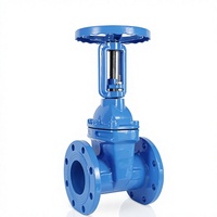 Válvulas de Compuerta de Hierro Dúctil con Vástago Ascendente y Brida de Sellado Suave para Alta Temperatura, Modelo Z41X-16Q de Carp Journey, para Agua Contra Incendios