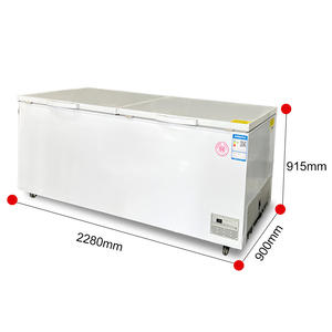 Équipement de réfrigération et de congélation multifonctionnel à double température, grande capacité, haute efficacité - Product Image 5