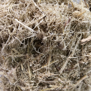 วัสดุจากชานอ้อยสำหรับผลิตภัณฑ์ที่เป็นมิตรต่อสิ่งแวดล้อมและปุ๋ย  กระแสมาแรงปี 2024 ผลิตภัณฑ์เพื่อสิ่งแวดล้อม - Product Image 1