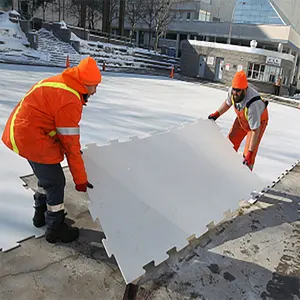 Skating Rink Tầng Tile/Nhân Tạo Ice Skating Rinks/Sử Dụng Tổng Hợp Ice Để Bán