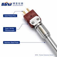 C Type W-Re Thermocouple Probe | High Temperature Sensor 0-2300°C | Gold-Plated Pins | Stainless Steel | BS10/BS20 Series
