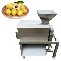Extracteur automatique de pulpe de fruits à double étage avec dénoyauteur pour le traitement de la mangue