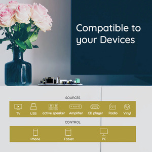 Pro <span class=keywords><strong>V4</strong></span> Wifi BT kỹ thuật số Streamer DIY Hội Đồng Quản trị chất lượng cao âm thanh nhà thông minh tích hợp âm thanh - Product Image 3