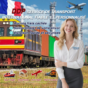 Expédition aérienne DDP FCL LCL porte-à-porte gérée par chemin de fer + express pour une livraison internationale fiable - Product Image 1