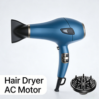 Sèche-cheveux professionnel portable à moteur AC silencieux pour hôtel, salle de bain et maison