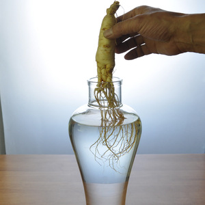 Luxury1L 1.5L 2.5L Transparent Kimchi Légumes Marinés Choucroute Santé Bouteille De <span class=keywords><strong>Vin</strong></span> Ginseng Bulle <span class=keywords><strong>Vin</strong></span> Bouteille En Verre Avec Robinet - Product Image 5