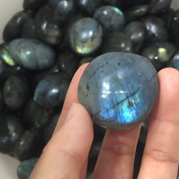 Grosir kristal alami dipoles diukir Labradorite batu palem batu permata Model terukir biru kedip untuk dekorasi