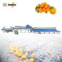 Voedselveilige materiaal sorteermachine voor sinaasappelen, tomatenborstelreinigingsmachine, fruit- en groentereinigingsmachine, fruitwaslijn