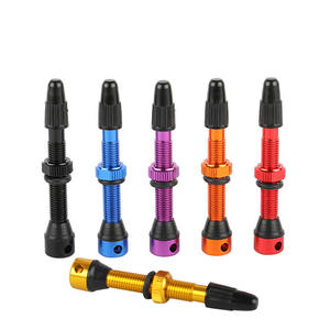 Accepter personnalisé 44MM 60MM <span class=keywords><strong>Valve</strong></span> de vélo <span class=keywords><strong>Schrader</strong></span> <span class=keywords><strong>Valve</strong></span> colorée de vélo sans tube pour vélo de route et vtt - Product Image 4
