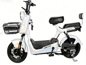 14-<strong>Inch</strong> 3-Speed Hydraulic Disc Brake Electronic Sensor <strong>Digital</strong> Lead Acid Battery Electric Bike with Brushless Rear Hub Motor - Product Image 2