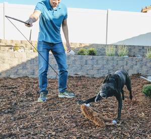 Tongkat penggoda dapat diperpanjang anjing tiang menggoda interaktif tug of war yang ditingkatkan - Product Image 2