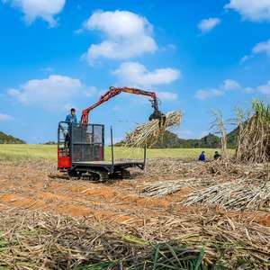 Transportador de Caña de Azúcar/Madera Xuvol, Transporte Fácil de Caña de Azúcar en el Campo, No Temer Días Lluviosos, Transportador de Caña de Azúcar/Madera - Product Image 3