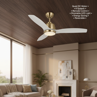 Ventilateur de plafond en métal à moteur DC de 20 pouces, 6 vitesses, télécommande, lumière LED à 3 couleurs à intensité variable, chambre à coucher moderne, garantie de 10 ans