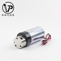 Pompe à engrenages miniature en acier inoxydable DC24V 37W, 2L/min, 3 bars, fonctionnement continu pour le traitement de l'eau et le transfert de fluides médicaux