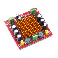 Carte amplificateur numérique monocanal XH-M544 150W TPA3116DA Carte amplificateur audio numérique 12-26V