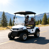 Voiturette de golf électrique fiable de haute qualité, 2 places, compacte, performante, avec batterie, pour les excursions