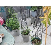180cm tour obélisque jardin treillis cadre d'escalade simple jardin métal plante fleur vigne support obélisque plan en fer forgé