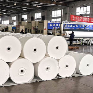 <span class=keywords><strong>Géotextile</strong></span> de séparation tissé 1000g <span class=keywords><strong>M2</strong></span> Prix <span class=keywords><strong>Géotextile</strong></span> de filament de polyester pour le jardin des Philippines - Product Image 3