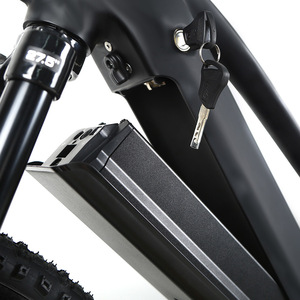 Bicicleta Eléctrica 2025 EC1 con Motor de 11 Velocidades, Bicicleta Eléctrica de Carretera de 48V 250W con Motor Central, la Mejor Relación <span class=keywords><strong>Calidad</strong></span>-<span class=keywords><strong>Precio</strong></span> - Product Image 5