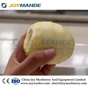 Pelador De <span class=keywords><strong>Limon</strong></span> Industrial Machine à éplucher le citron - Product Image 6