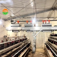 Une cage de poulet de batterie de type 3 / 4/6/8 couches 120 / 160 oiseaux pour ferme avicole commerciale