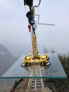 Bomba de Succión de Alta Calidad con Certificación CE, Manual/Eléctrica, Rotación de 400kg-1200kg, para Instalación de <span class=keywords><strong>Vidrio</strong></span>, Ventosa de Montaje, Elevador de <span class=keywords><strong>Vidrio</strong></span> - Product Image 3