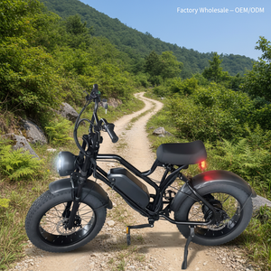 Vélo Électrique 250W 20 Pouces à Freins à Disque à Huile, 7 Vitesses, Lithium, Écran LCD, Moteur Arrière, Pneus Larges – Vente en Gros Direct Usine - Product Image 3