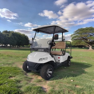 Carrello da Golf Elettrico a 2 Posti con Ricarica Rapida e Intelligente, Certificato CE, Batteria al Litio, Lunga Autonomia, Bassa Manutenzione - Product Image 2