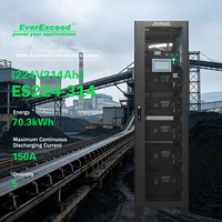 Armoire de batterie au lithium fer phosphate intégrée à aérosol 314Ah 224V, large plage de température, pour appareils électroménagers et stockage d'énergie solaire, CE