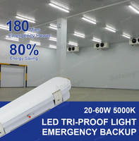 Luz de Emergencia Tri-Proof con Batería de Respaldo LiFePO4, Duración 3 Horas, Mantenimiento/Prueba Automática, EN 60598-2-22 IP66, para el Mercado del Reino Unido y Alemania