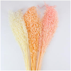 Panier à fleurs éternelles conservées, 1 pièce, fleur immortelle, pour décoration d'intérieur - Product Image 4