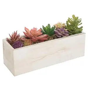 Groothandel thuis desktop houten frame vlezige sappig bloempot indoor bloempot