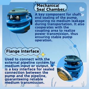 Efficient and Convenient Installation Maintenance Multi Scenario Adaptable Vertical Multistage <b>Pump</b> - Product Image 3