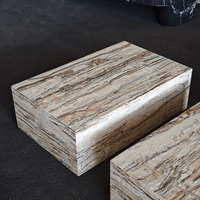 Table basse en marbre Tiramisu naturel, socle de table de salon de luxe, mobilier moderne minimaliste