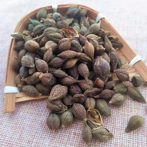 Лянь Цяо, Китайская традиционная сушеная форзиция, фруктовая трава, необработанный чай, экстракт - Product Image 6