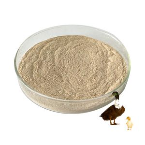 Vật nuôi <span class=keywords><strong>Enzyme</strong></span> bột Jar động vật thức ăn <span class=keywords><strong>Enzyme</strong></span> <span class=keywords><strong>amylase</strong></span> <span class=keywords><strong>Enzyme</strong></span> - Product Image 2