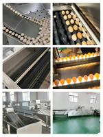 Laveuse et trieuse d'œufs en acier inoxydable pour volailles, canards et poulets, machine de nettoyage des coquilles d'œufs et de pesage