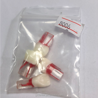 Modelo de simulador de dientes Endo de raíz Dental profesional-Resina Endodoncia Práctica Demostración Raíces anatómicas estándar para la Escuela de Medicina