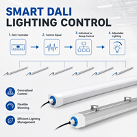 Luminaire LED Tri-Proof DALI Dimmable IP66 avec Contrôle d'Éclairage Numérique et Garantie de 5 Ans pour Entrepôts, Usines et Parking