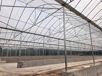Film de serre agricole grand format résistant aux UV, couverture de tunnel durable, installation facile pour la croissance des plantes en usine