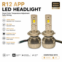 Système d'éclairage automobile LED R12 contrôlé par application, ampoule LED 9005 9006, ampoule de phare LED H7 H4 H11