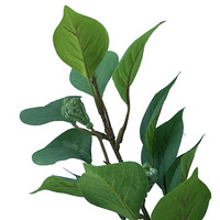 Fausses feuilles d'eucalyptus artificielles, 30 pièces, fausse plante verte pour la maison et mariage, décoration murale d'intérieur et extérieure