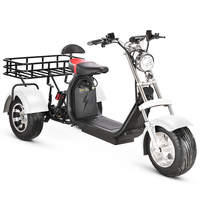 Tricycle à trois roues pour adulte Trike, Scooter électrique à 3 roues 2000w Fat, vélo de ville électrique