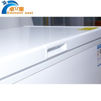 Congélateur horizontal commercial à coffre, 220V, 700L, pour cuisine et usage domestique, certifié CE